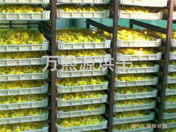 菊花烘干機(jī)