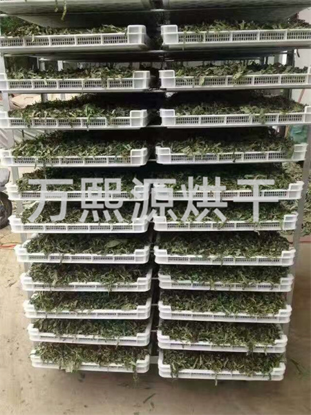 菊花烘干機(jī)