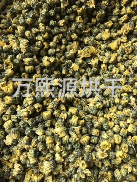 菊花烘干機(jī)