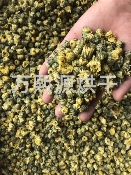 菊花烘干機(jī)