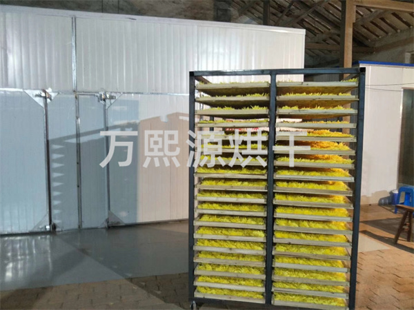 菊花烘干機(jī)