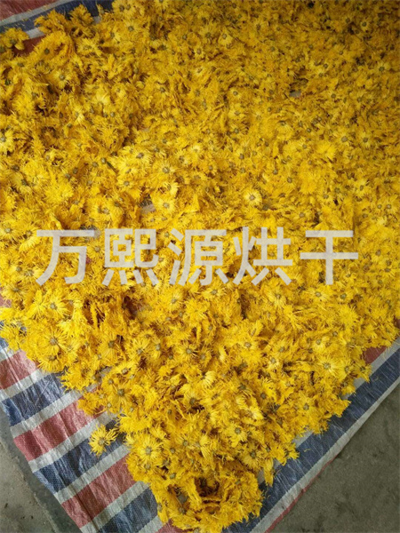 菊花烘干機(jī)
